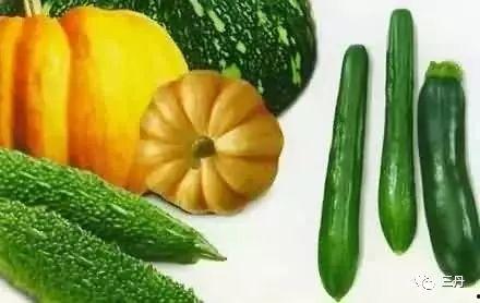 吃瓜网3,带你领略全新娱乐资讯平台魅力